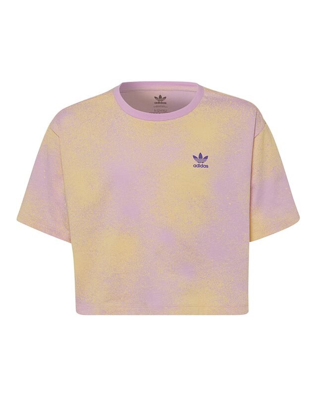 adidas Originals Graphic Print Crop Top (HK2930)