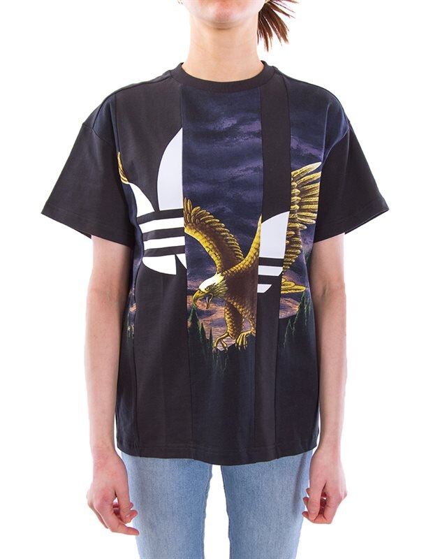 adidas Originals Graphic Tee W (H59033)