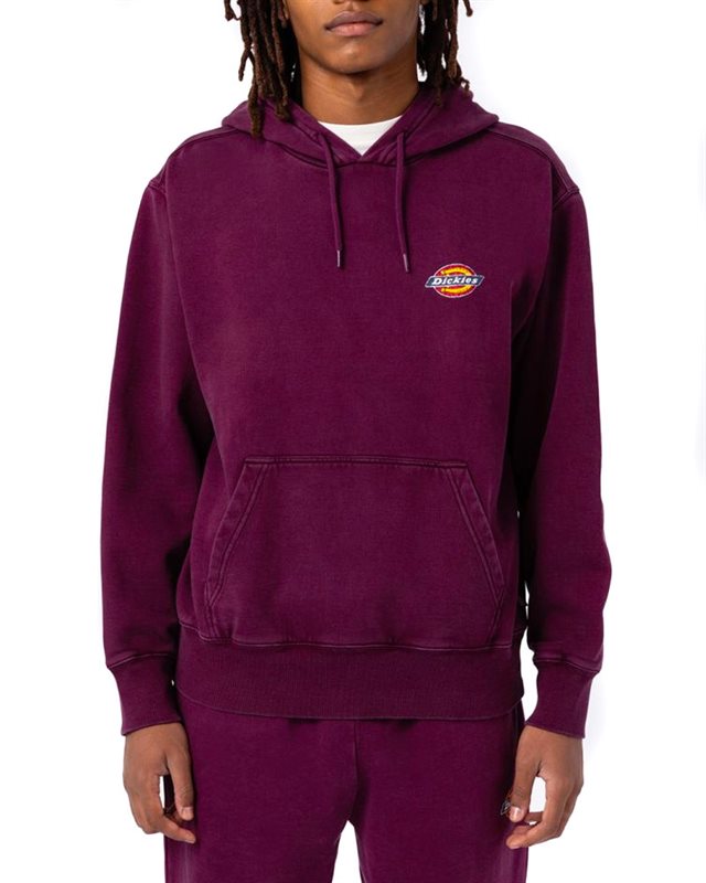 Dickies Icon Washed Hoodie (DK0A4XYPC951)
