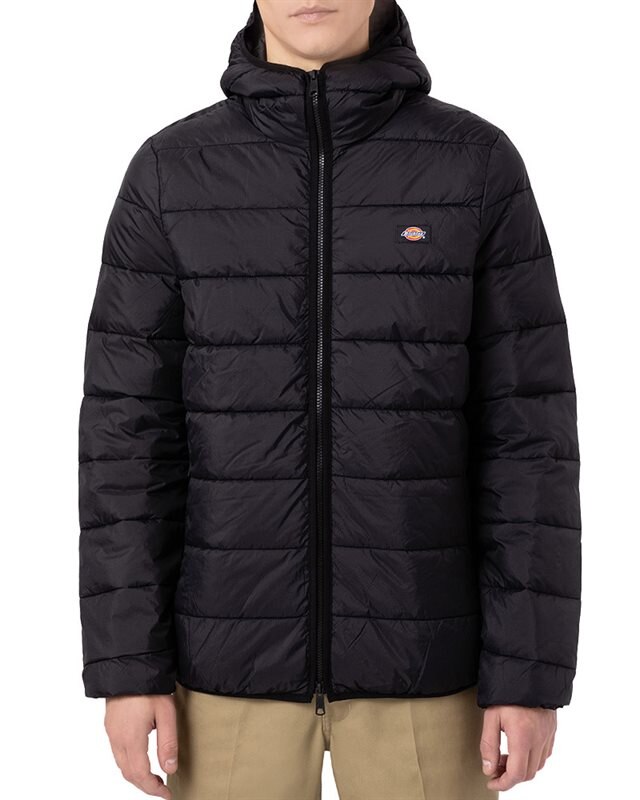 Dickies Waldenburg Mid Layer (DK0A4Y3XBLK1)