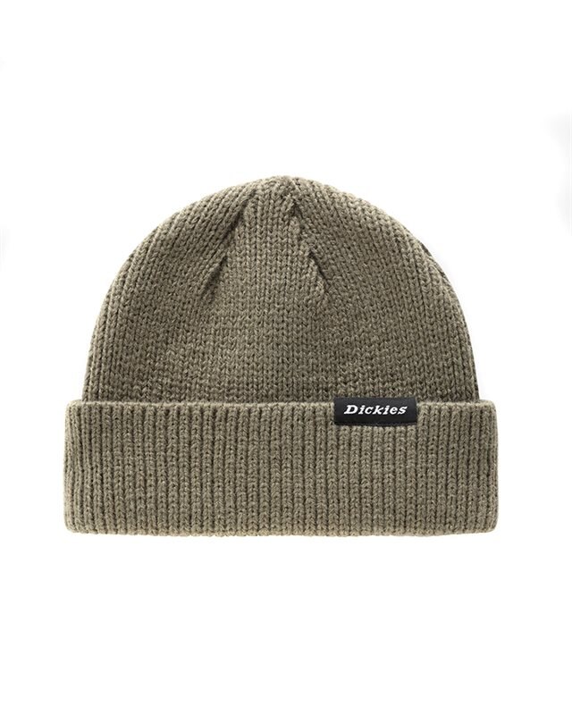 Dickies Woodworth Beanie (DK0A4X7YMGR1)