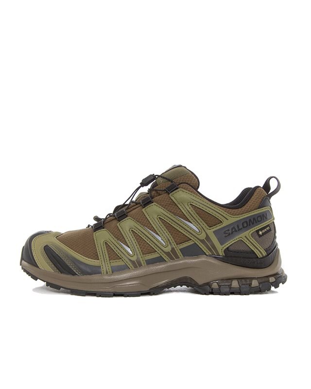 SALOMON XA Pro 3D Gore-Tex (L47867900)