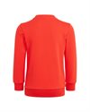 adidas Originals Adicolor Crew Set (H25251)