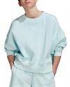 adidas Originals Adicolor Essentials Fleece Sweatshirt (HJ7867)
