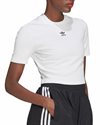adidas Originals Adicolor Essentials Rib Crop Top (HF3394)