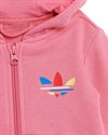 adidas Originals Adicolor Full Zip Hoodie (H25230)