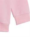 adidas Originals Adicolor Hoodie Set (HE4673)
