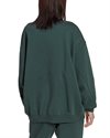 adidas Originals Adicolor Oversized Sweatshirt (HM1780)