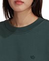 adidas Originals Adicolor Oversized Sweatshirt (HM1780)