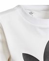 adidas Originals Adicolor Shorts And Tee Set (H25274)