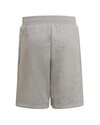 adidas Originals Adicolor Shorts (HD2062)