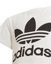 adidas Originals Adicolor Trefoil Tee (H25246)