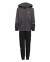 adidas Originals adidas Sprt Collection Hoodie Set (HE2076)