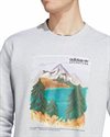 adidas Originals Adventure Nature Awakening Crewneck Sweatshirt (IC2286)