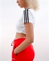 adidas Originals Cropped Tee (DV2620)