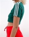 adidas Originals Cropped Tee (DV2631)