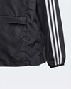 adidas Originals Packable WB (DV2889)