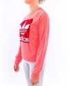 adidas Originals Trefoil Crew Sweatshirt (ED7548)