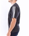 adidas Originals Trefoil Rib Tee (ED5609)