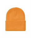 Carhartt WIP Acrylic Watch Hat (I020222.0NP.XX.06)