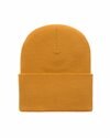 Carhartt WIP Acrylic Watch Hat (I020222.0W1.XX.06)