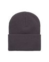 Carhartt WIP Acrylic Watch Hat (I020222.0W7.XX.06)