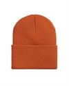 Carhartt WIP Acrylic Watch Hat (I020222-84-XX-06)