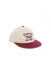 Carhartt WIP Alston Cap (I035659-39V-XX-06)