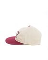 Carhartt WIP Alston Cap (I035659-39V-XX-06)