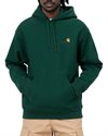 Carhartt WIP Hooded American Script Sweat (I028279.827.XX.03)