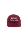 Carhartt WIP Schooling Cap (I035629-3DV-XX-06)