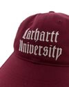 Carhartt WIP Schooling Cap (I035629-3DV-XX-06)