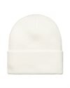 Carhartt WIP Script Beanie (I030884.0WK.XX.06)