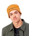 Carhartt WIP Script Beanie (I030884.10E.XX.06)