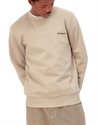 Carhartt WIP Script Embroidery Sweat (I031242.AW.XX.03)