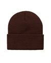 Carhartt WIP Short Watch Hat (I017326.0W4.XX.06)