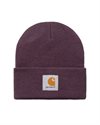 Carhartt WIP Short Watch Hat (I017326.0W8.XX.06)