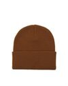 Carhartt WIP Short Watch Hat (I017326.HZ.XX.06)