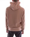 Champion Hooded Sweatshirt (217233-MS036)