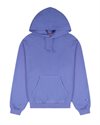 Champion Hooded Sweatshirt (217979-BS006)