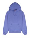 Champion Hooded Sweatshirt (217979-BS006)