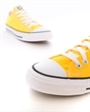 Converse Chuck Taylor All Star OX (167235C)