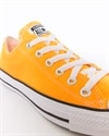 Converse Chuck Taylor All Star OX (167235C)