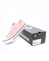 Converse Chuck Taylor All Star OX (167633C)