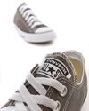 Converse Chuck Taylor All Star Seasnl OX (1J794C)