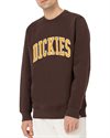 Dickies Aitkin Sweatshirt (DK0A4XABD711)