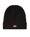 Dickies Gibsland Black (DK0A4X7KBLK)