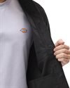 Dickies Higginson Shirt LS (DK0A4XGQBLK1)