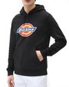 Dickies Icon Logo Hoodie (DK0A4XCBBLK1)