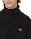 Dickies Louisburg Fleece (DK0A4YEDBLK1)